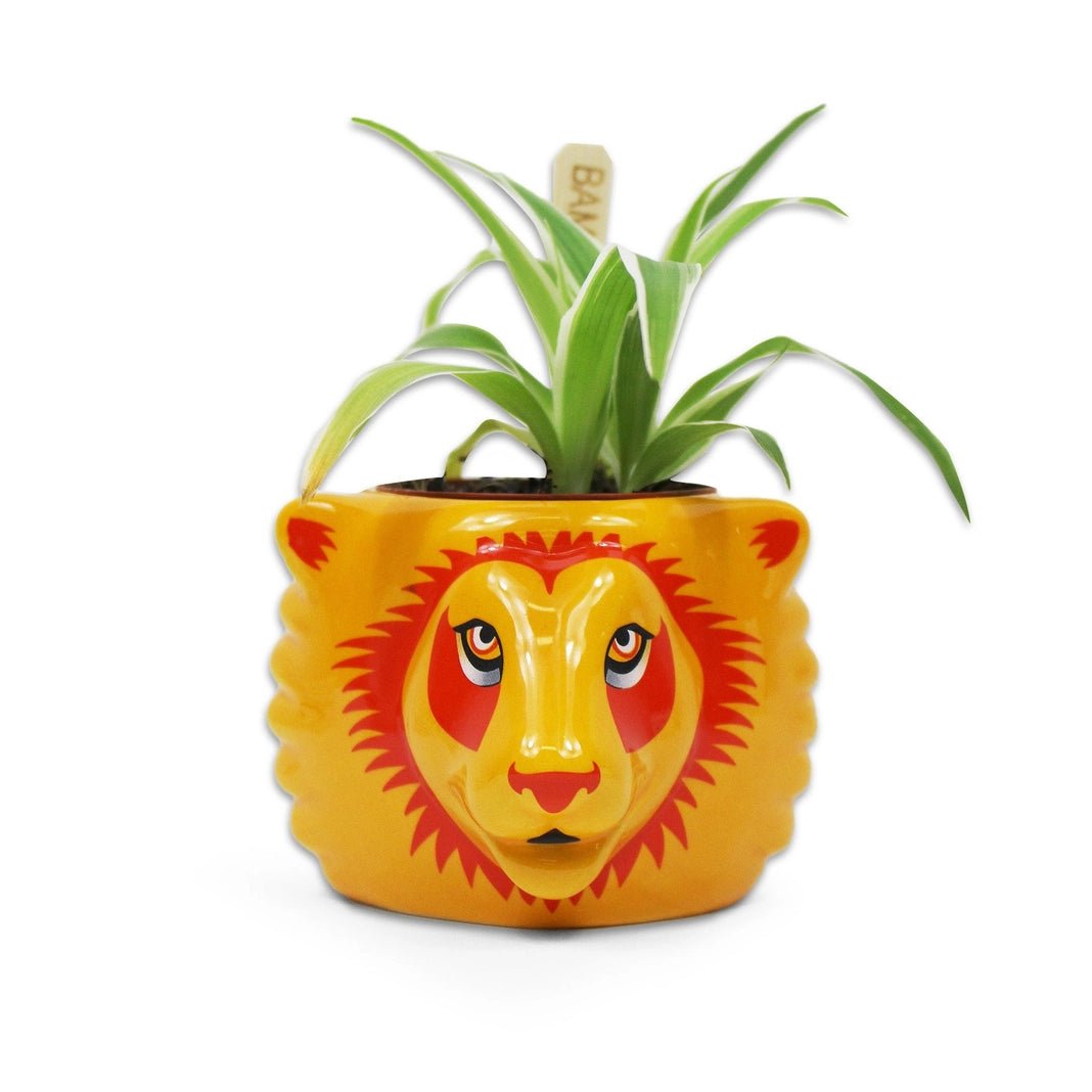 Harry Potter Vase Gryffindor - Supernerds