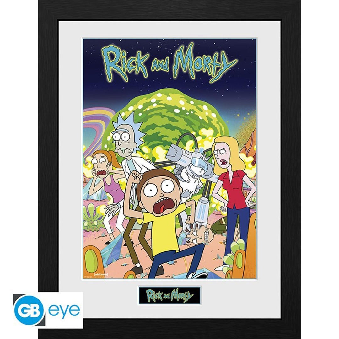 Rick and Morty Innrammet Bilde 30 x 40 cm Madness - Supernerds