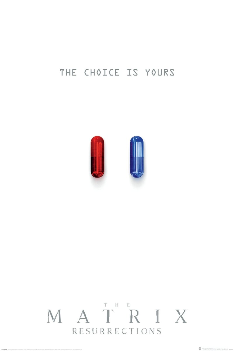 The Matrix Plakat The Choice Is Yours - Supernerds