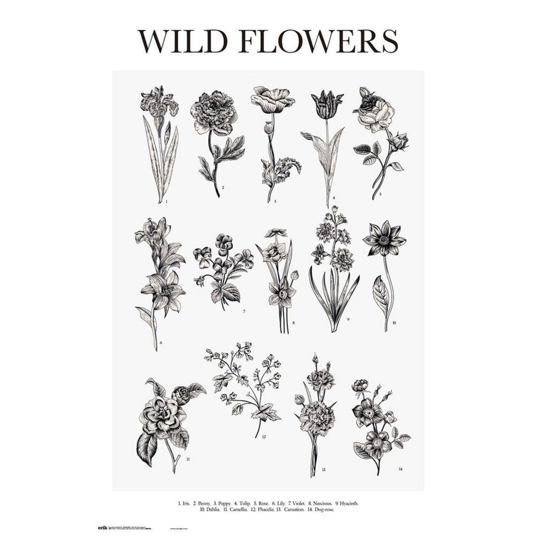 Ville Blomster Sort Hvit Plakat - Supernerds